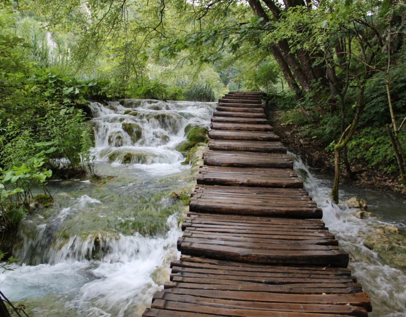 Private Full - Day Tour: Plitvice Lakes From Dubrovnik - Comfortable Travel Experience