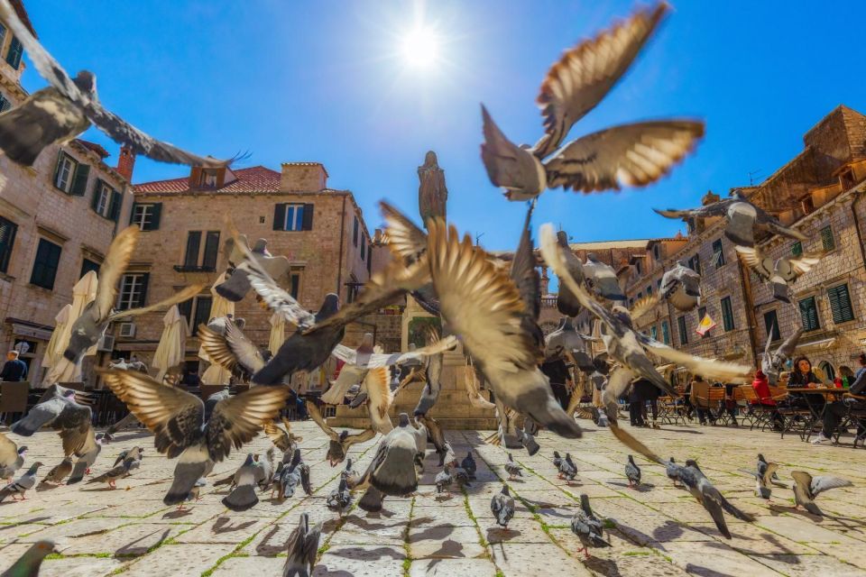 Private Game of Thrones Walking Tour - From Dubrovnik - Inclusions