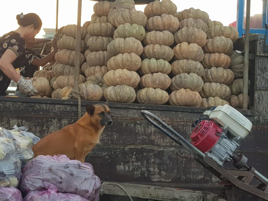 Private Half Day Tour - Cai Rang Floating Market - Meeting Point and Directions