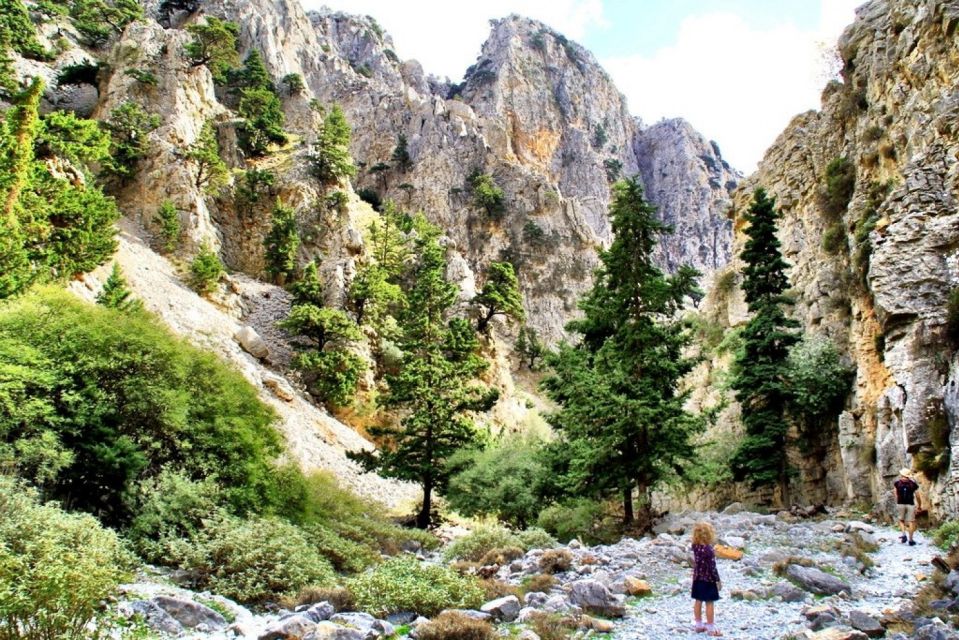 Private Hikking to Imbros Gorge With Lunch - Wildlife and Nature Spotting