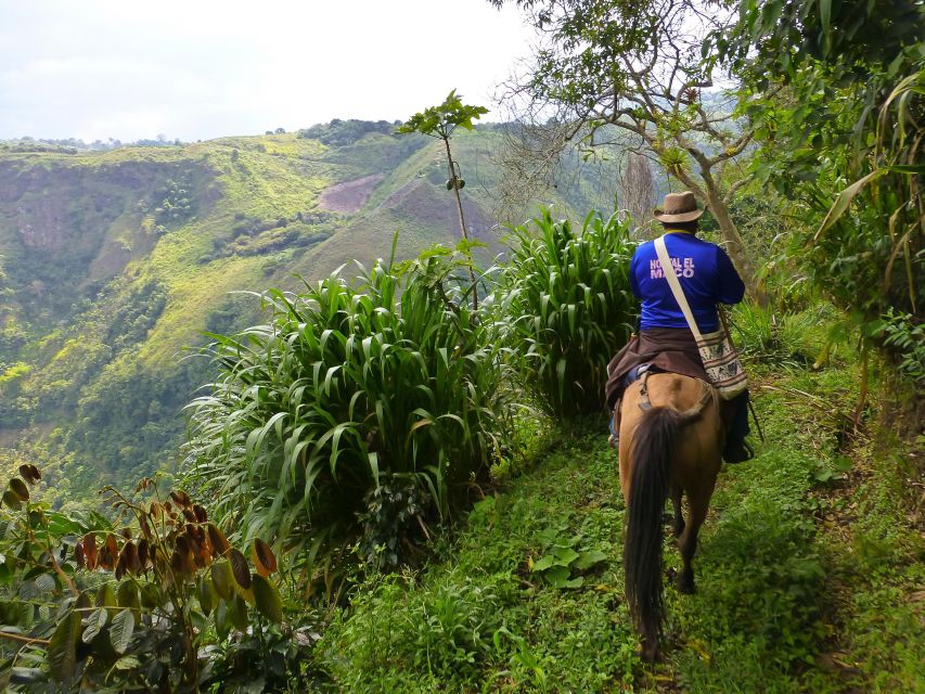 Private Horseback Riding Tour to Tres Chorros Waterfall - Scenic Views and Nature