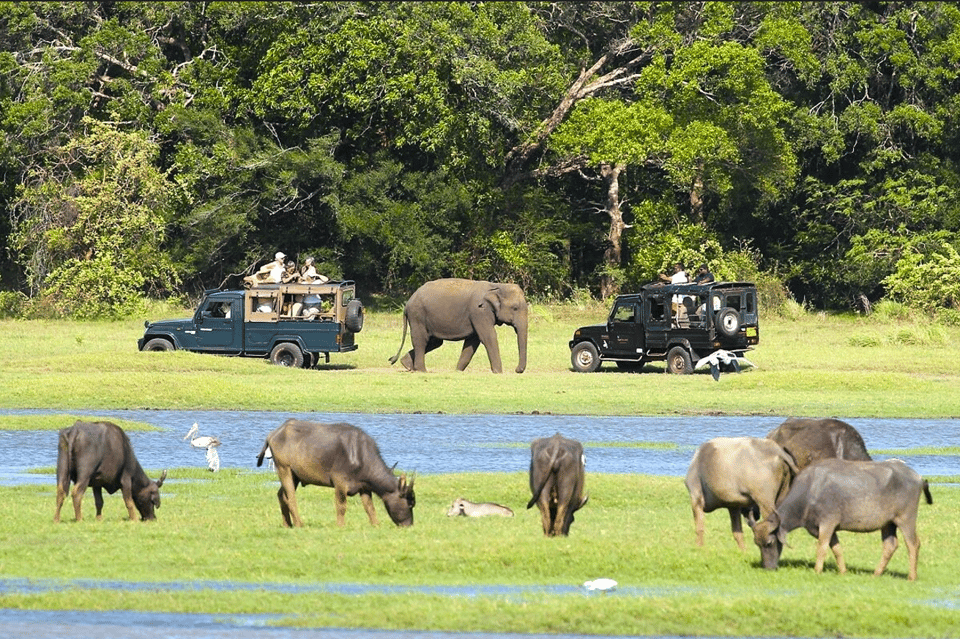 Private Jeep Safari to One of the Best National Parks - Reservation and Cancellation Policy