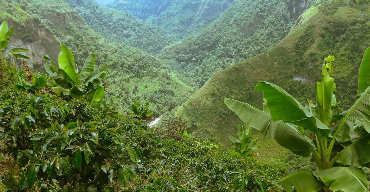 Private Jeep Tour to the Surroundings of San Agustín - Customer Feedback and Insights