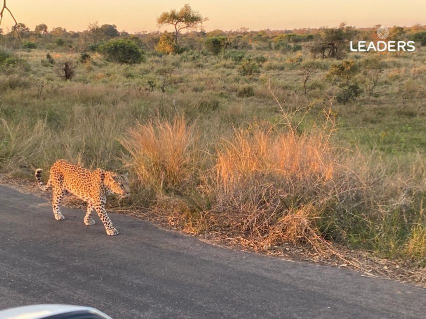 Private Kruger National Park Full Day Safari - Knowledgeable Safari Guide Insights