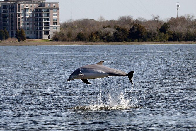 Private Morning Sailing/Dolphin & History Tours on Mystique - Historical Landmarks Explored