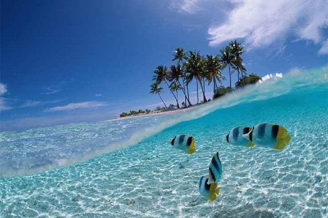 Private Nusa Penida Packages - Accessibility Information