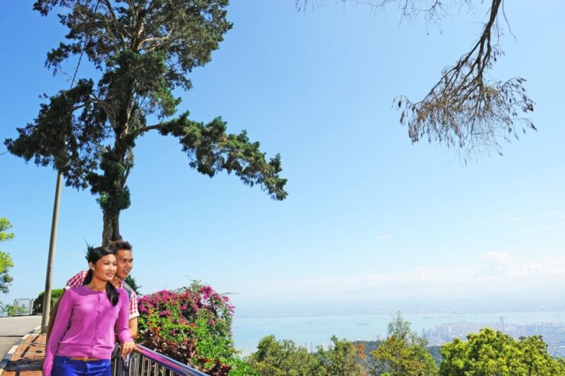 Private Penang City Tour With Kek Lok Si Temple - Temple Architecture and Features