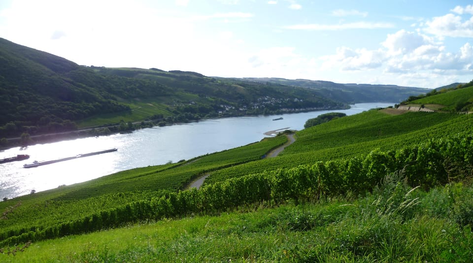 Private Rhine Valley Tour With River Cruise & Wine Tasting - Optional Stops