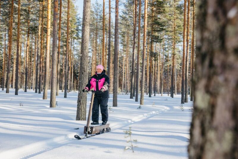 Private Safari by Electric Snow Scooters in Puumala - Participant Eligibility Criteria