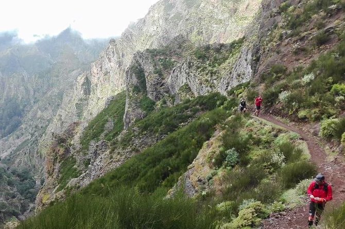 Private Sunrise Guided Hike on Pico Do Areeiro or Other Custom - Pricing and Booking