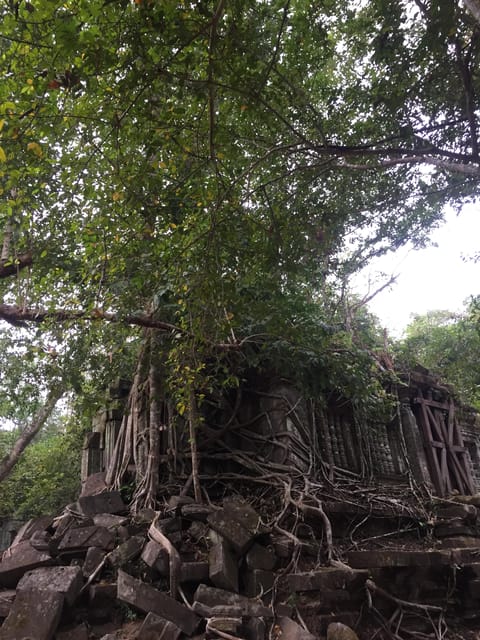 Private Tour Beng Mealea and Kompong Phluk Flooded Village - Whats Included in the Tour