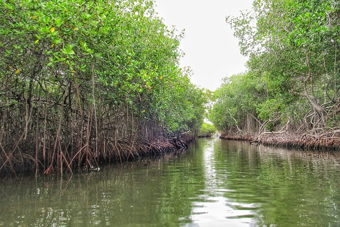 Private Tour of Ecotourism, Culture and Sea in Barú - Addressing Safety Concerns