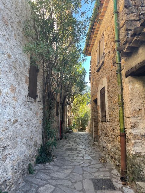 Private Tour of Saint Guilhem and the Devils Bridge - Included Services