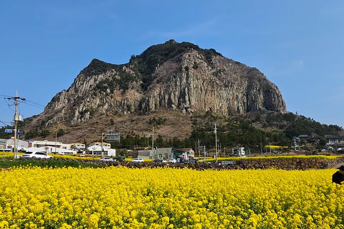 Private Tour South and West Jeju Island With Experienced Driver - Hiking Eoseungsaengak Peak