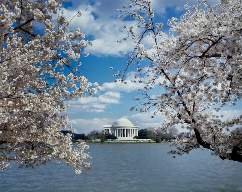 PRIVATE TOUR Washington Dc: PRIVATE TOUR With Luxury SUV 4h - Customizable Itineraries