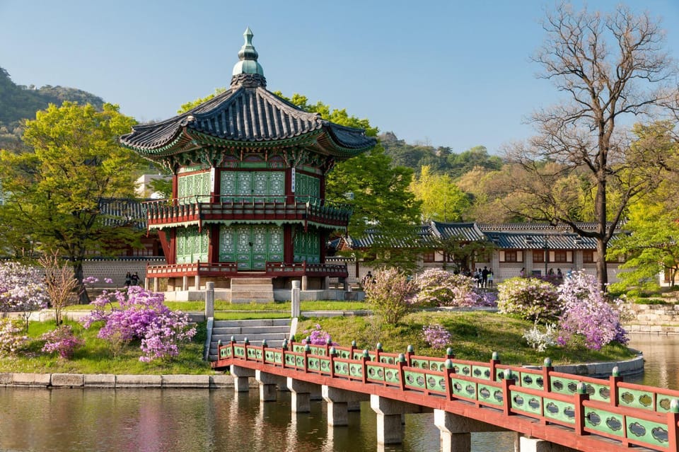 Private Transfer Between Seoul City and Gyeongbokgung Palace - Vehicle and Driver Details