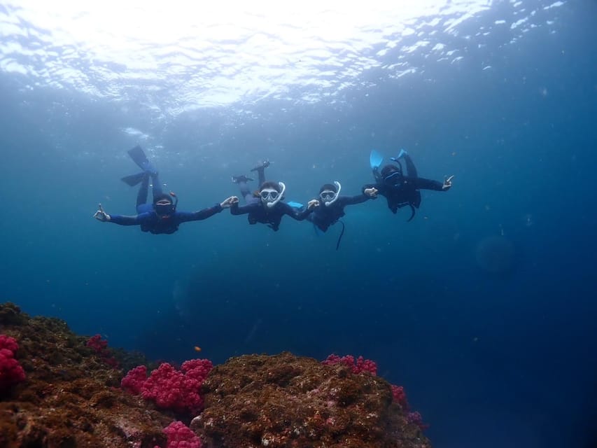 Private Unforgatable Snorkeling Day Trip in Izu (Shizuoka) - Local Culinary Delights