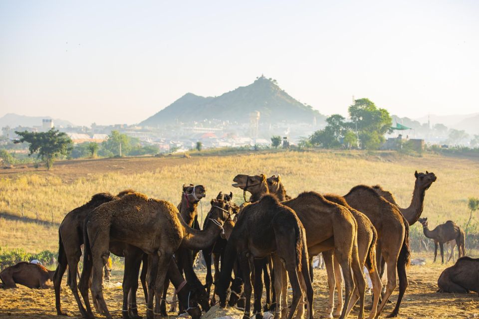 Private Village Tour By Jeep And Guide - Inclusions of the Tour