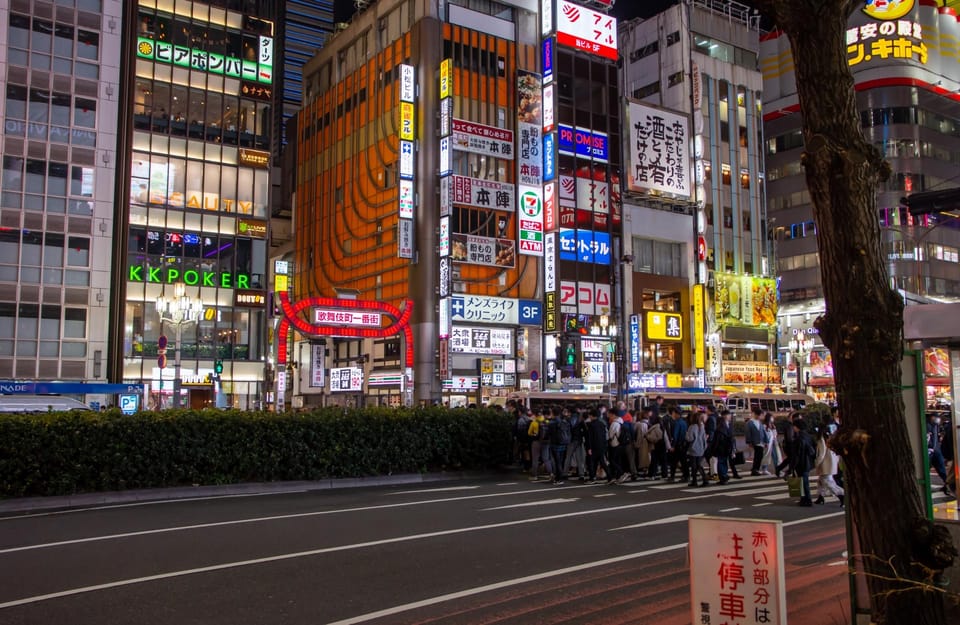 Private Walking Night Tour to Shinjuku Back Street - Exploring Omoide Yokocho