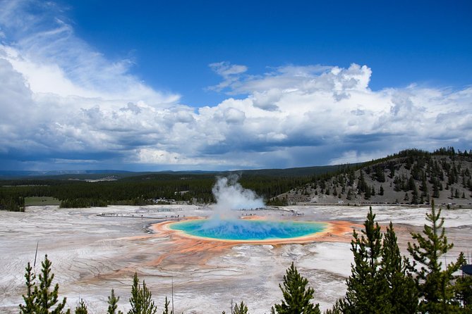 Private Yellowstone Old Faithful and Lower Loop Tour - Guide Expertise and Engagement