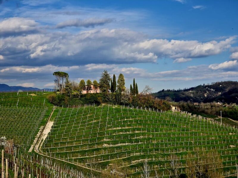 Prosecco Hills Bike Tour From Venice - Inclusions and Amenities