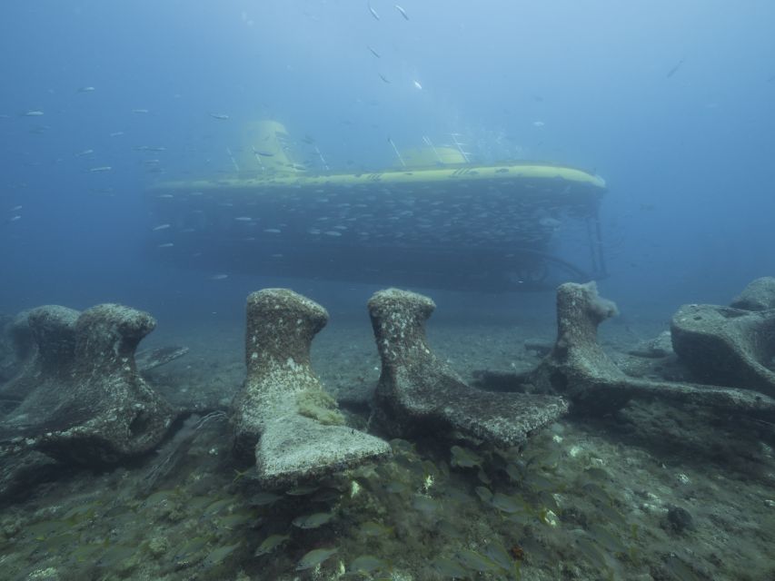 Puerto De Mogán: Submarine Tour - Accessibility