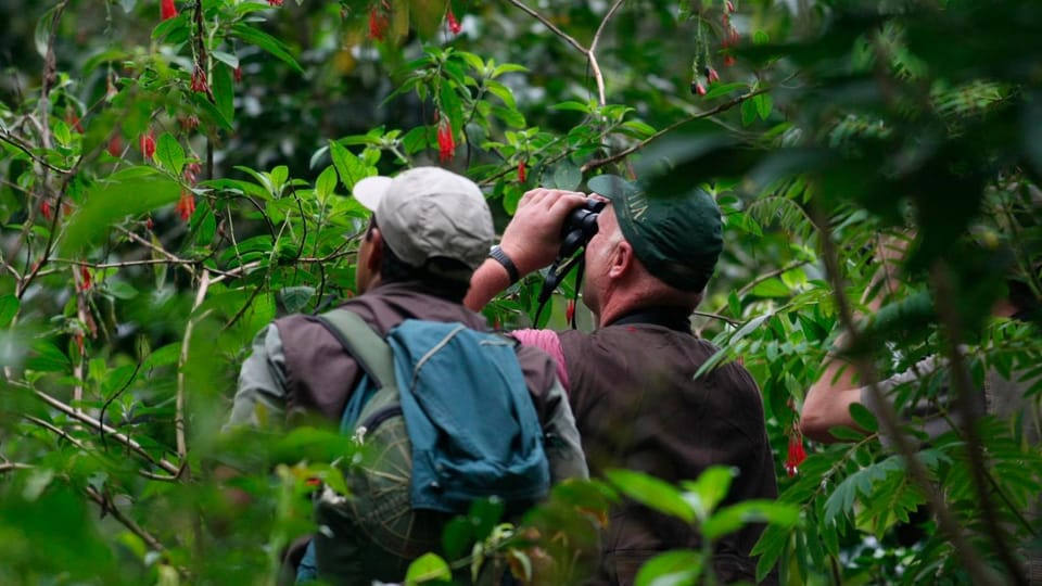 Puerto Maldonado: Macaw Clay Lick 4-Day Tour & Accommodation - Inclusions and Exclusions