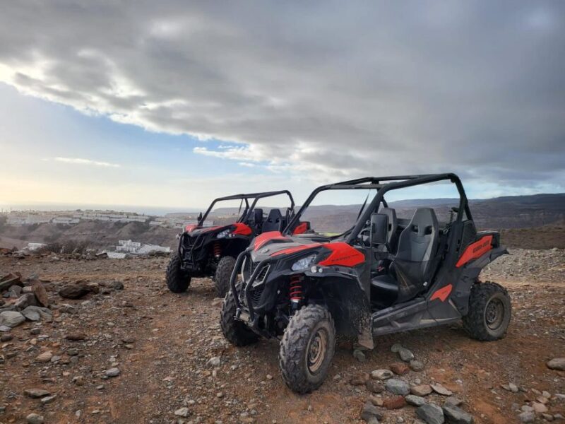 Puerto Rico De Gran Canaria: Dirt Buggy Tour - Customization and Flexibility