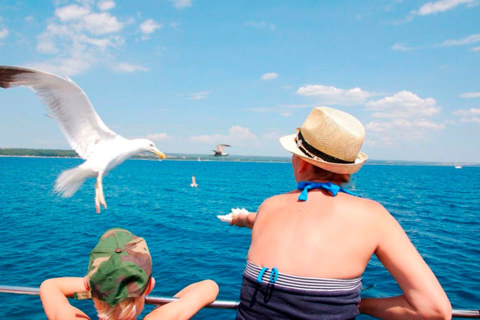 Pula: National Park Brijuni Island Visit & Dolphin Cruise - Included Amenities and Services