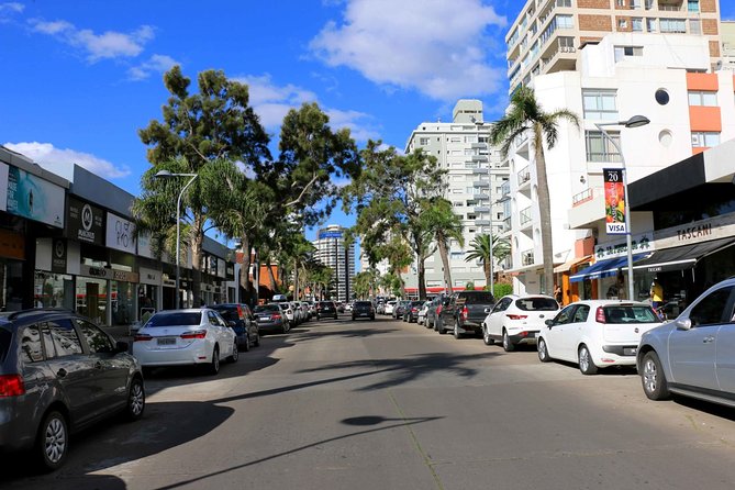Punta Del Este Shore Excursion: Private Sightseeing Tour of Punta Del Este - Shopping and Dining Opportunities