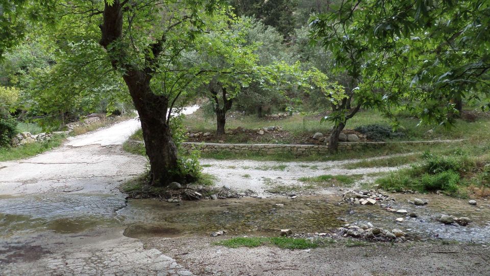 Quad Safari Ierapetra Day Tour - Participant Information