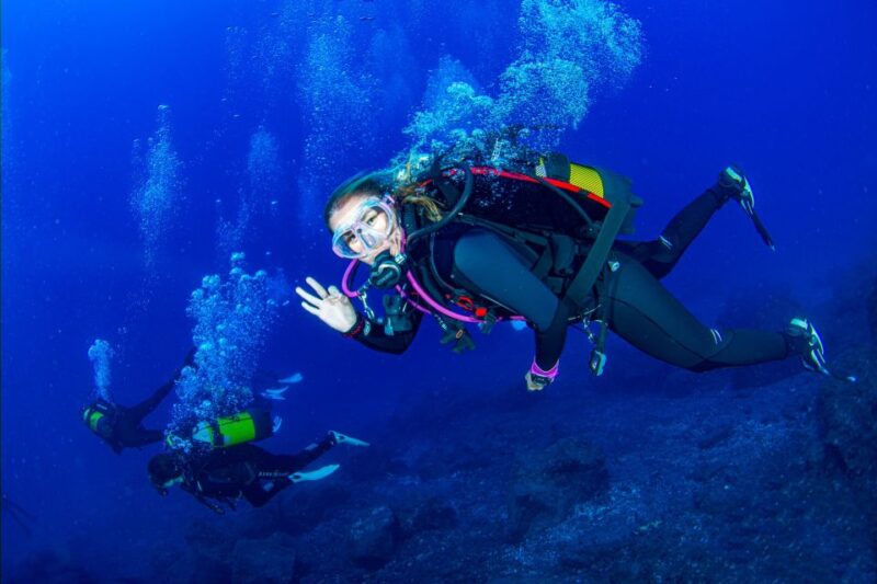 Radazul: Diving Trip in Radazul Bay With Drinks - Group Size and Languages