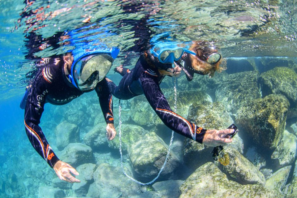 Radazul: Family-Friendly Snorkeling Tour - Tour Details