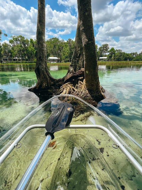 Rainbow Springs: Clear Kayak & Snorkel Tour - Participant Restrictions