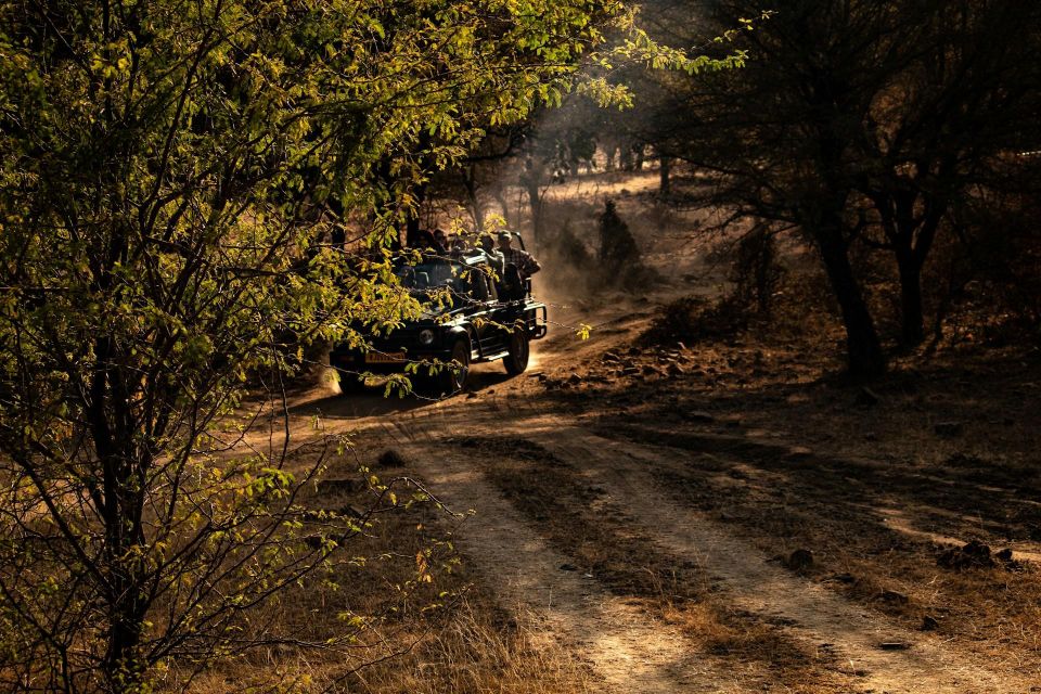 Ranthambore Safari by Canter ( 20 Seater Bus) - What to Bring