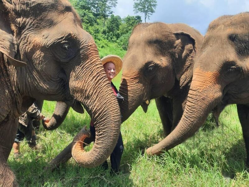 Rantong Elephant Sanctuary Chiangmai - Itinerary Highlights