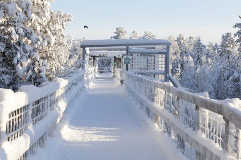 Ranua Wildlife Park Guided Tour From Rovaniemi - Important Information