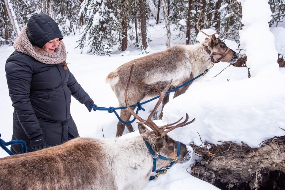 Reindeer and Heli Flightseeing Day Trip With Lunch - Group Size and Cancellation