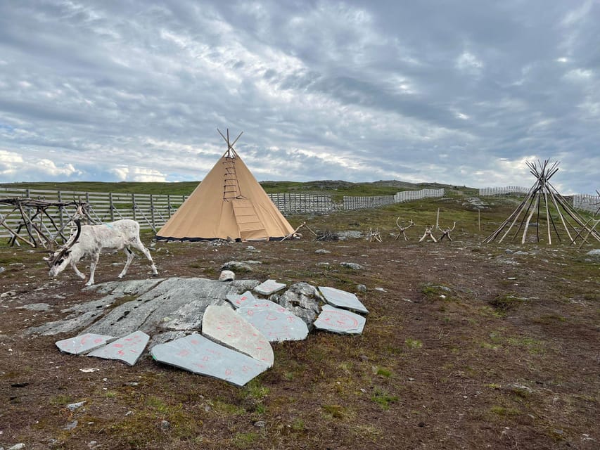 Reindeer and Stories: A Sami Cultural Adventure - Customer Reviews and Ratings