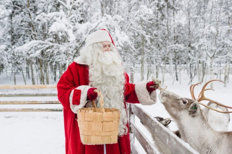 Reindeer Farm Visit With Sleigh Ride - What to Expect on the Tour