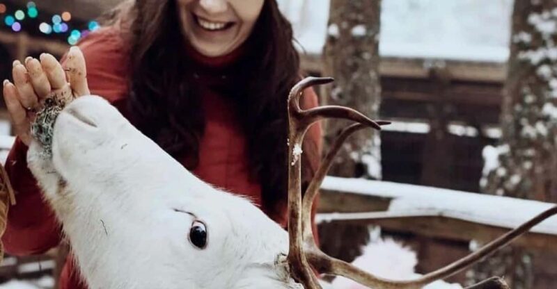 Reindeer Sledding Tour and Visit to the Husky Kennel - Booking and Availability