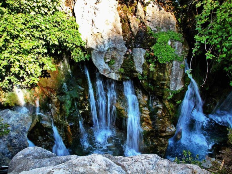 Rethymno, South Crete & Preveli Monastery - Participant Information