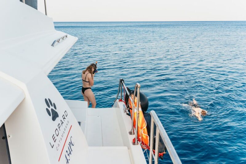 Rhodes: Sunset Catamaran Cruise With Dinner Buffet & Drinks - Cruise Highlights
