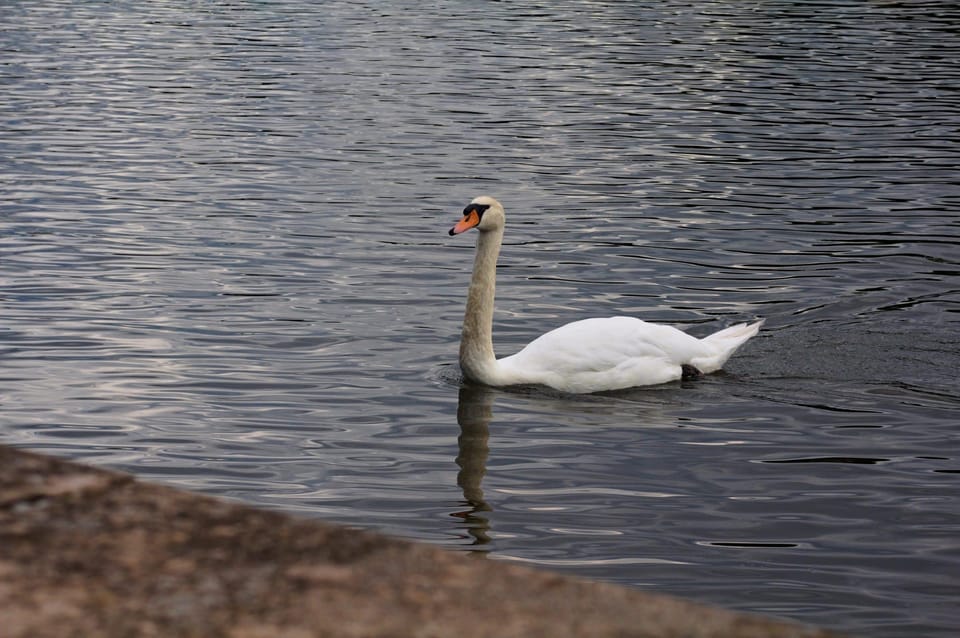 Ride a Motorboat Into the Sunset & Enjoy a Picnic - Meeting Point and Directions