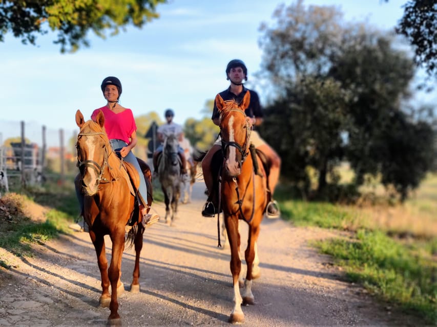 Ride in Rome With Meal and Wine Included - Important Participant Information