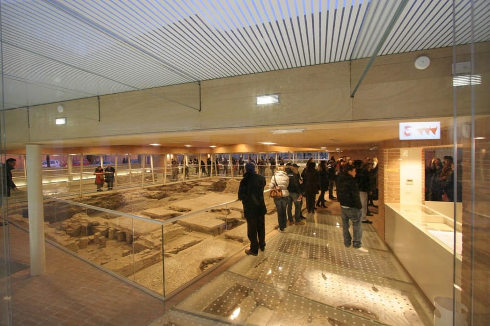 Rimini: Domus Del Chirurgo and City Museum Entry Ticket - Notable Highlights