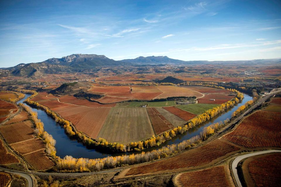 Rioja Alta and Rioja Alavesa Wine Tour (from Rioja) - Inclusions