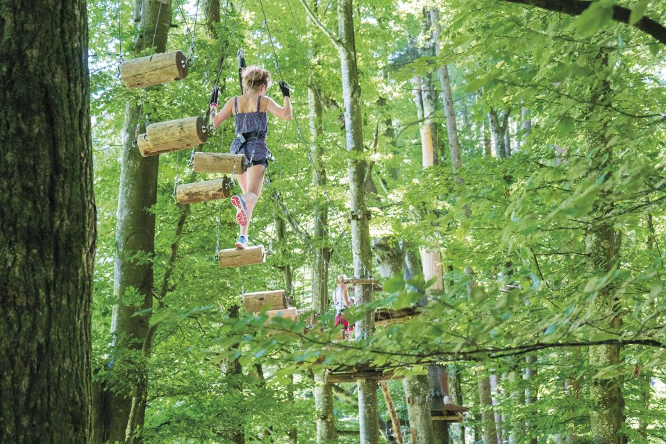 Rope Park Interlaken: Climbing Adventure With Entry Ticket - Safety Measures and Instructions