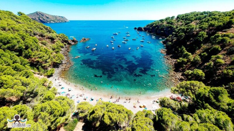 Roses: Boat Trip With Kayak, Paddle Surf & Snacks - Meeting Location