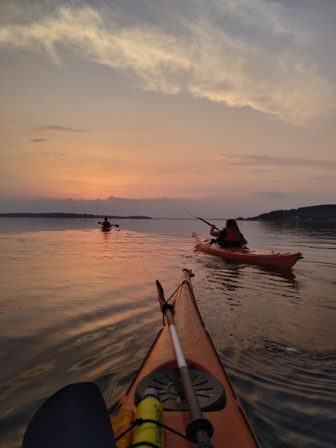 Roskilde: Guided Kayaking on Roskilde Fjord: Sunset Tour - Tour Highlights